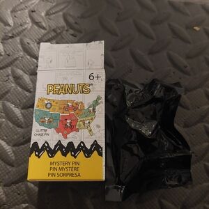 Peanuts Mystery Pin